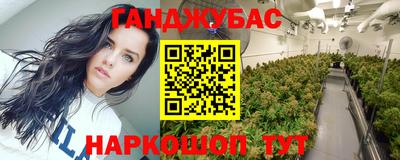 спиды Новодвинск