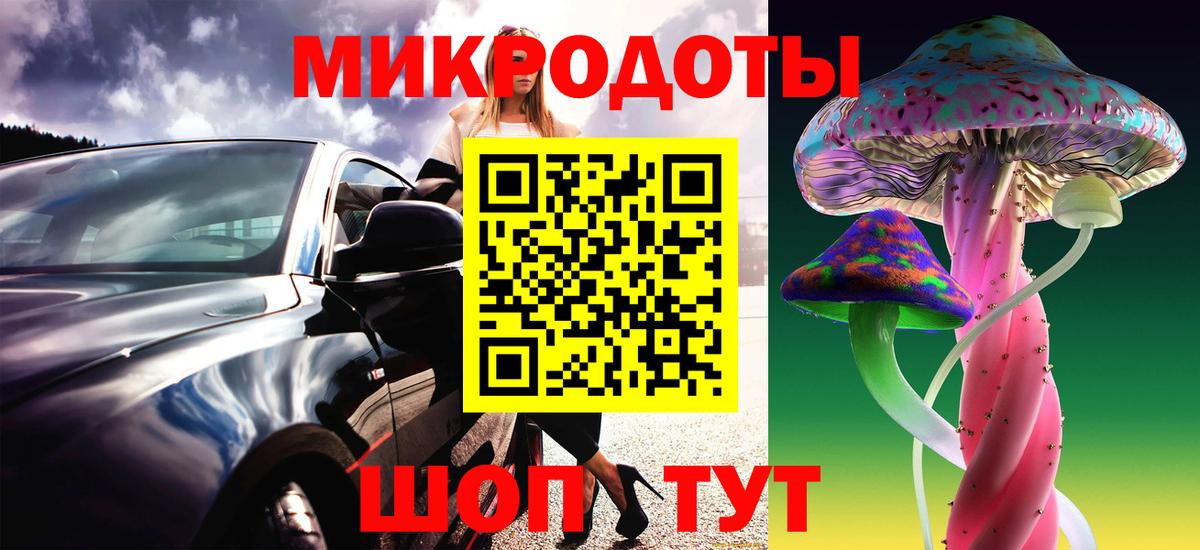 Сегежа  Псилоцибиновые грибы Psilocybine cubensis  Вход с VPN 