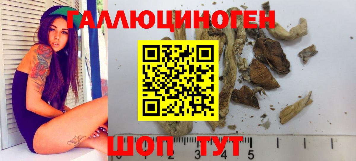 Галлюциногенные грибы Cubensis Сегежа